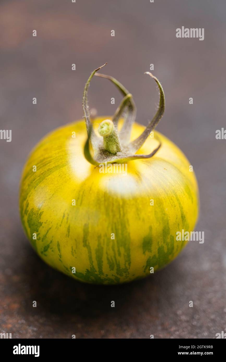 Pomodori a telaio Tigerella originaria della Grecia. Foto Stock