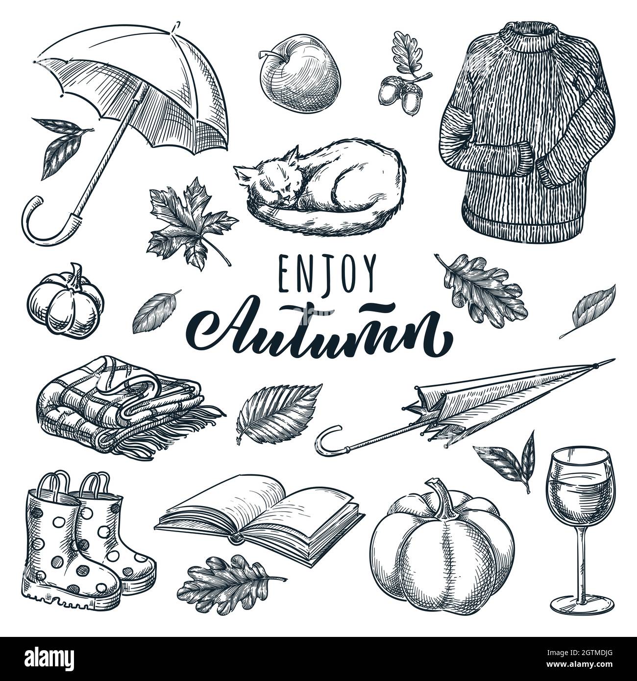 Collezione autunnale di elementi dal design accogliente. Disegno vettoriale e calligrafia disegnata a mano. Ombrello, gatto dormiente, vino, maglione, pumpki Illustrazione Vettoriale