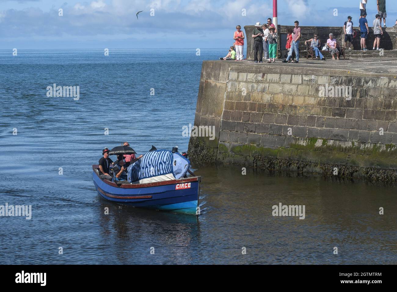 Sabato 26/08/2017 il porto Aberaeron WEST WALES Regno Unito bande e una parata guidata da un pesce di 20 piedi, la fiesta vede la città di pesca onorare lo sgombro Foto Stock