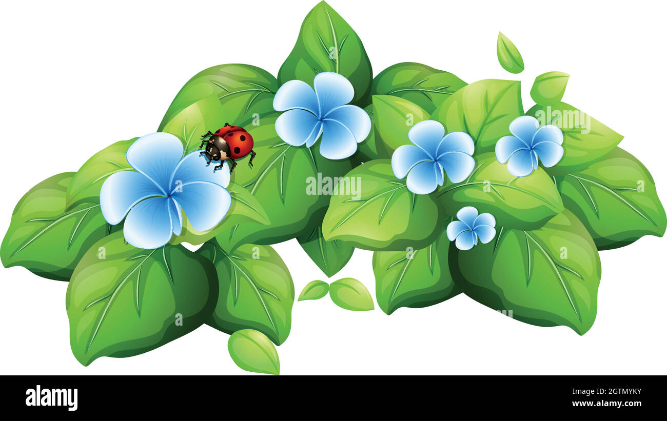 Fiore blu e ladybug Illustrazione Vettoriale