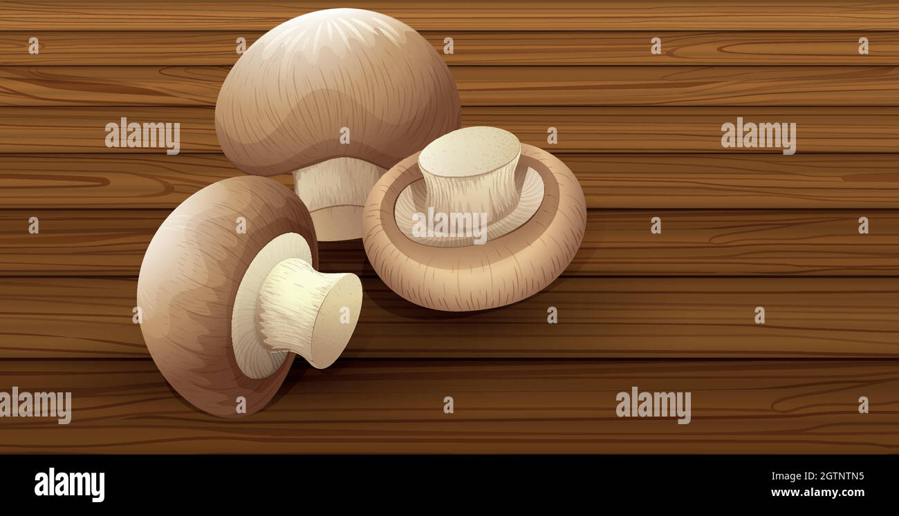 Funghi commestibili su sfondo di legno Illustrazione Vettoriale