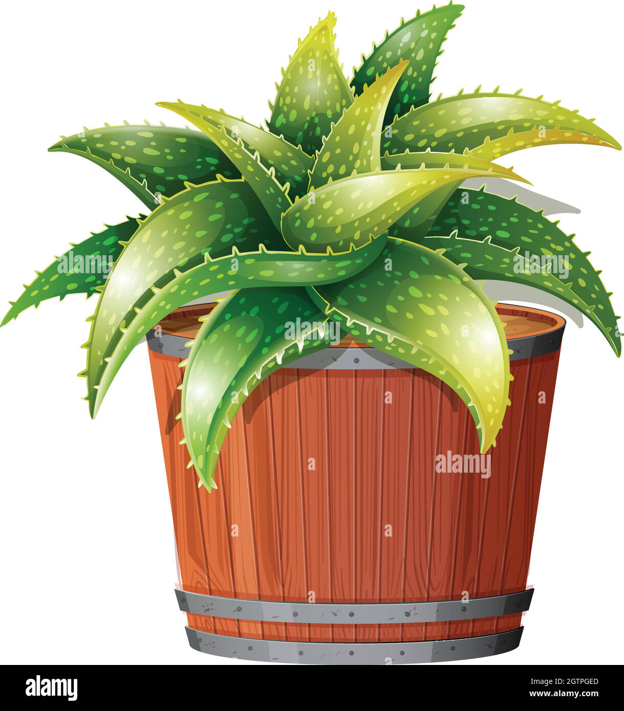 Stabilimento di Aloe vera a Pot Illustrazione Vettoriale