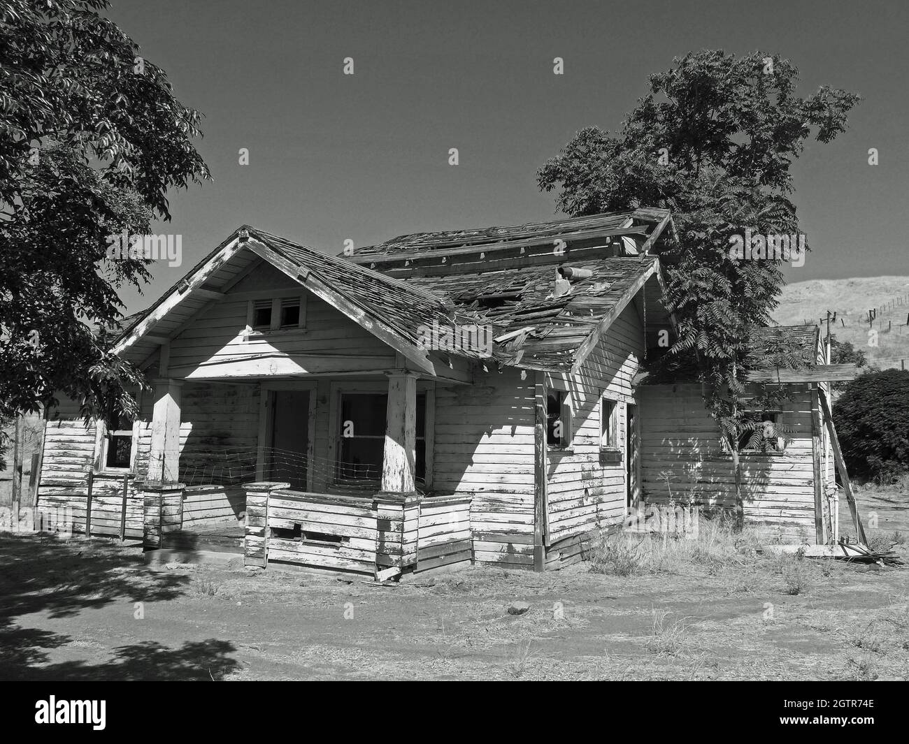 Tumbledown Shack a Caliente, California, USA (monocromatico) Foto Stock