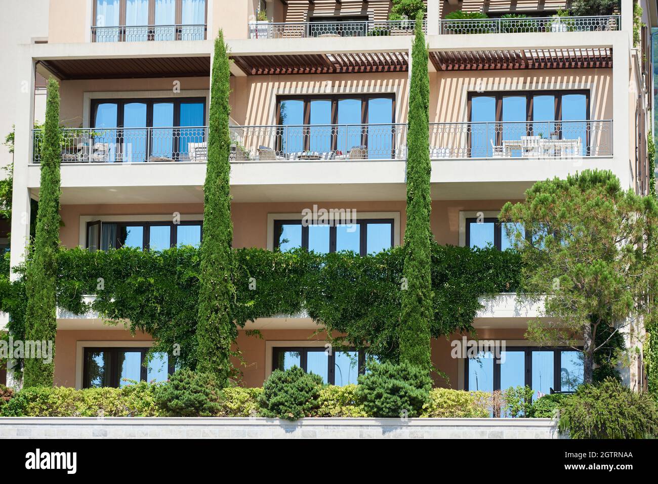 Facciata di un edificio con piante da arrampicata e cipressi Foto Stock