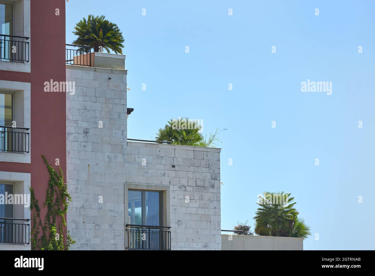 Palme e piante sul patio sul tetto in Europa Foto Stock