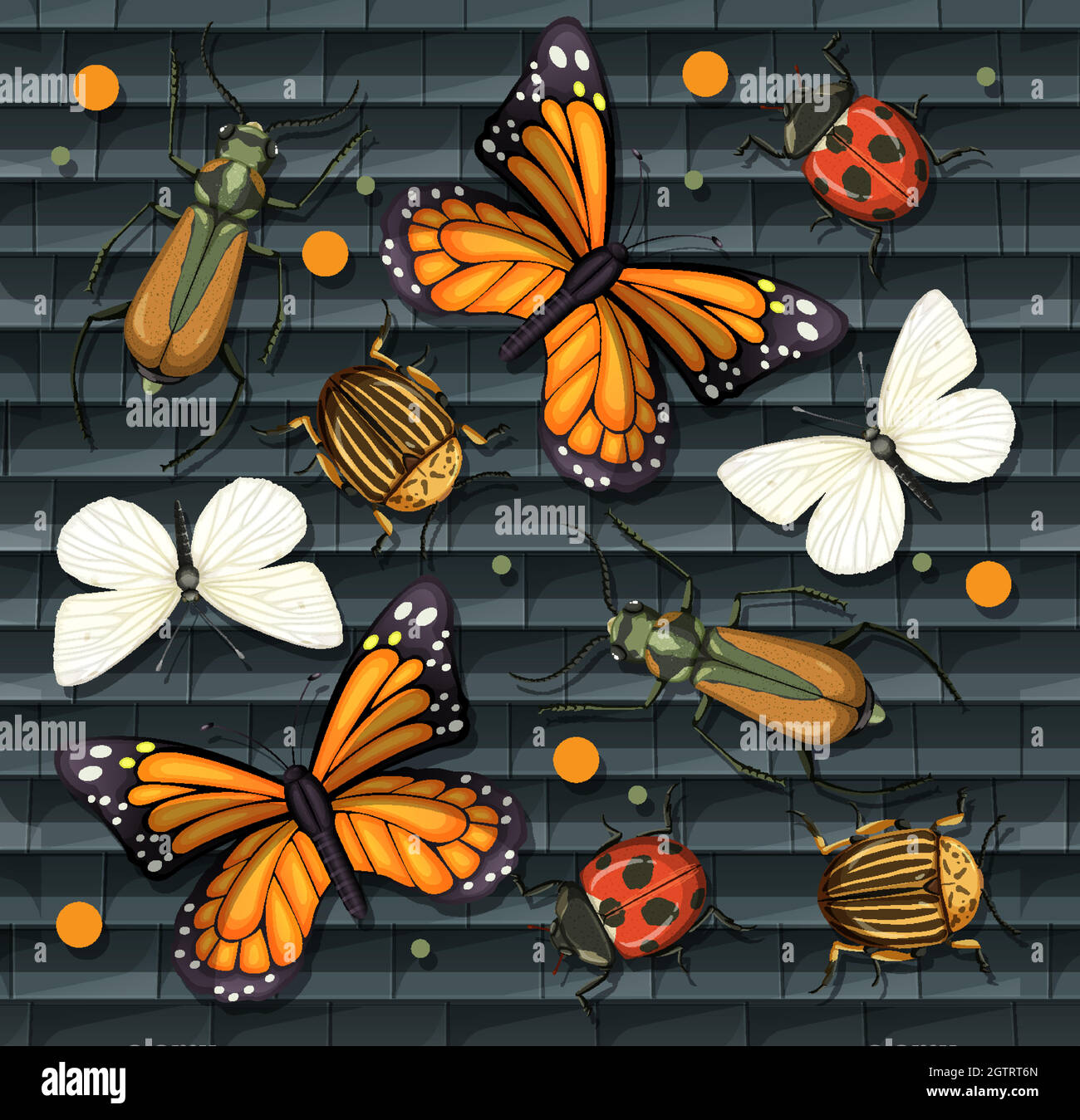 Set di insetti diversi isolato Illustrazione Vettoriale