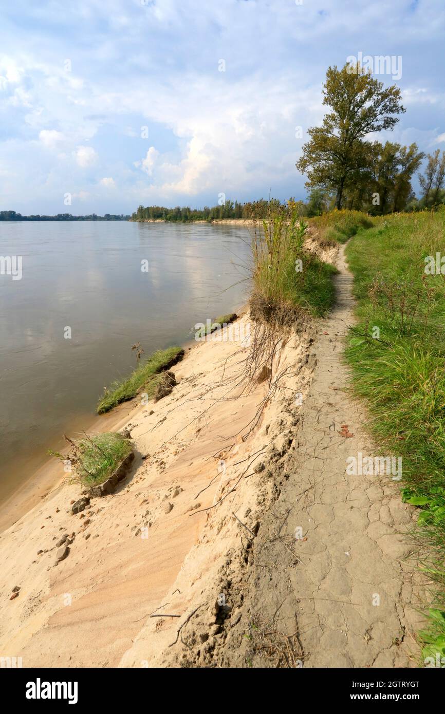 Sentiero turistico sulla riva del fiume Vistula distrutto dall'erosione, a sud di Varsavia, Masovia, Polonia Foto Stock