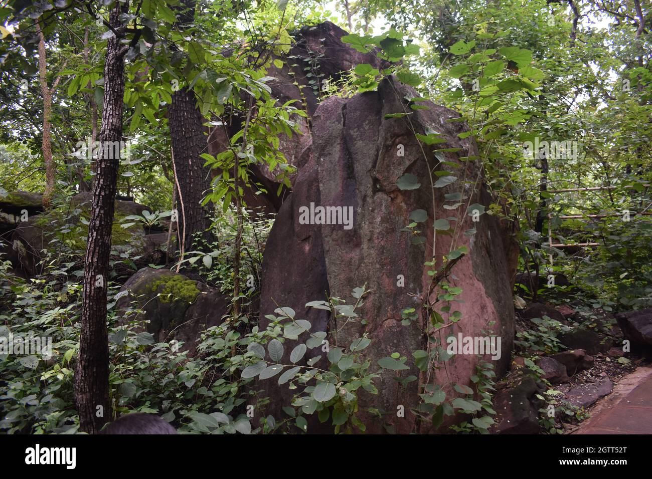 Bellezza naturale nel bhopal madhya pradesh Foto Stock