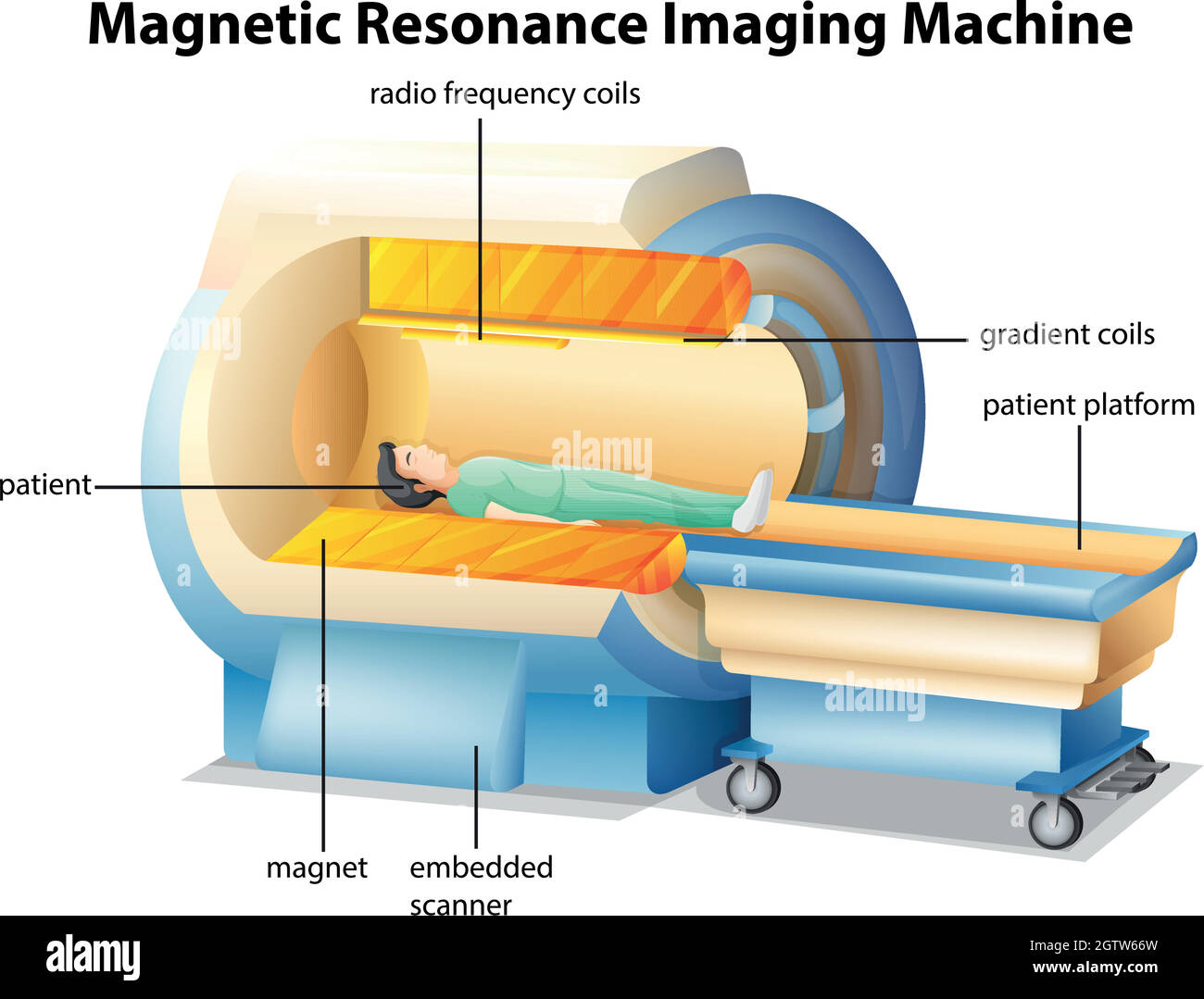 MRI Illustrazione Vettoriale