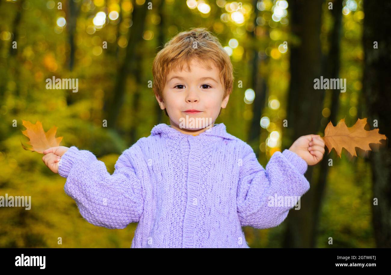 Buon bambino intreccio con foglie d'autunno nel parco. Sorridente ragazzo carino in maglione a foresta. Foto Stock