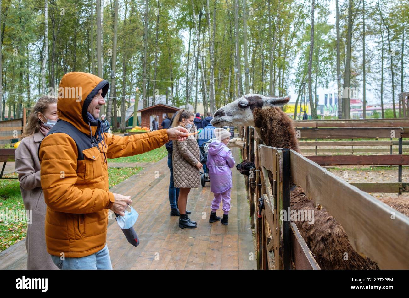 Mosca. Russia. Settembre 25, 2021. Le persone nutrono le carote di lama allo zoo di animali domestici. Stretta comunicazione con gli animali selvatici. Foto Stock