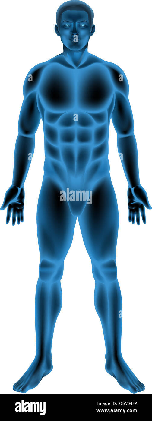 Corpo maschile Illustrazione Vettoriale