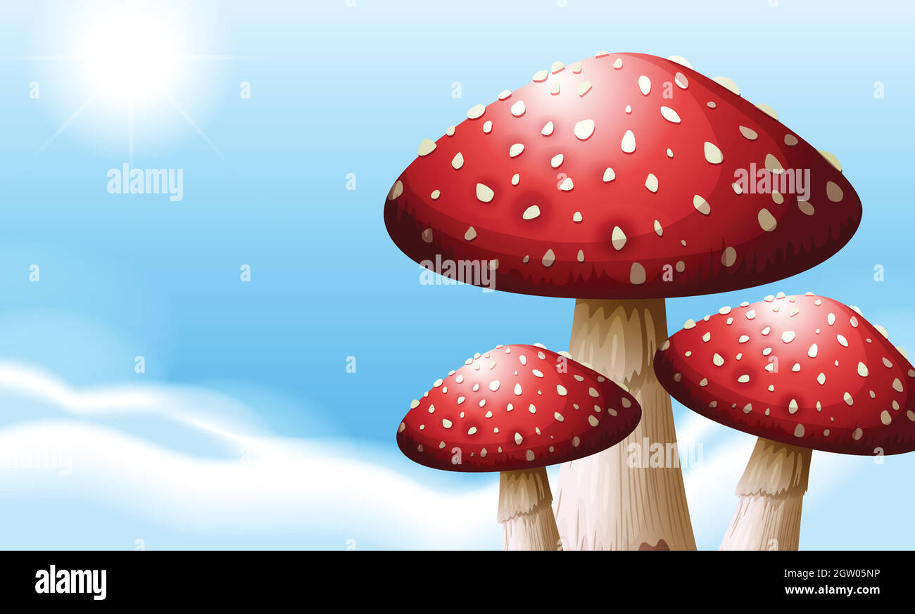 Fungo Illustrazione Vettoriale