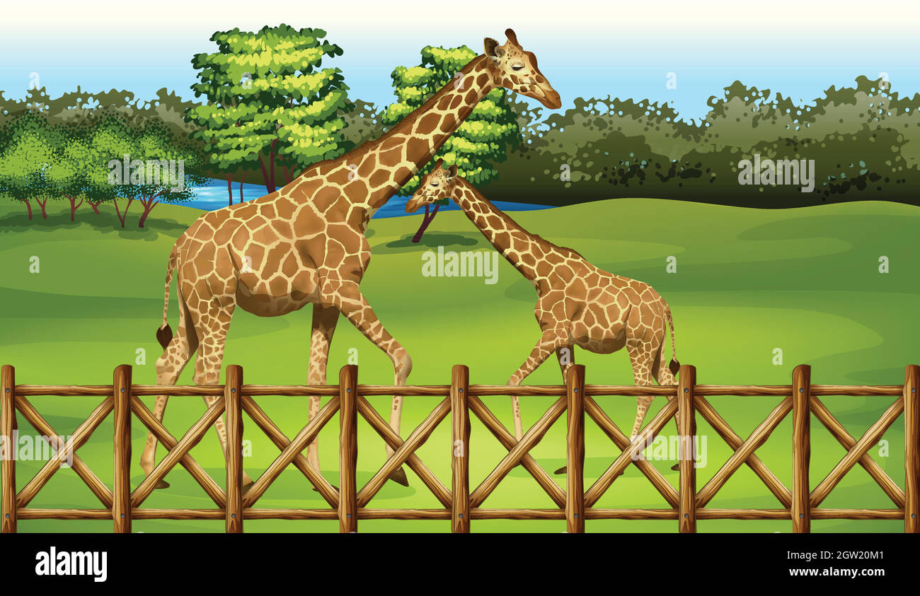 Giraffe nella foresta Illustrazione Vettoriale