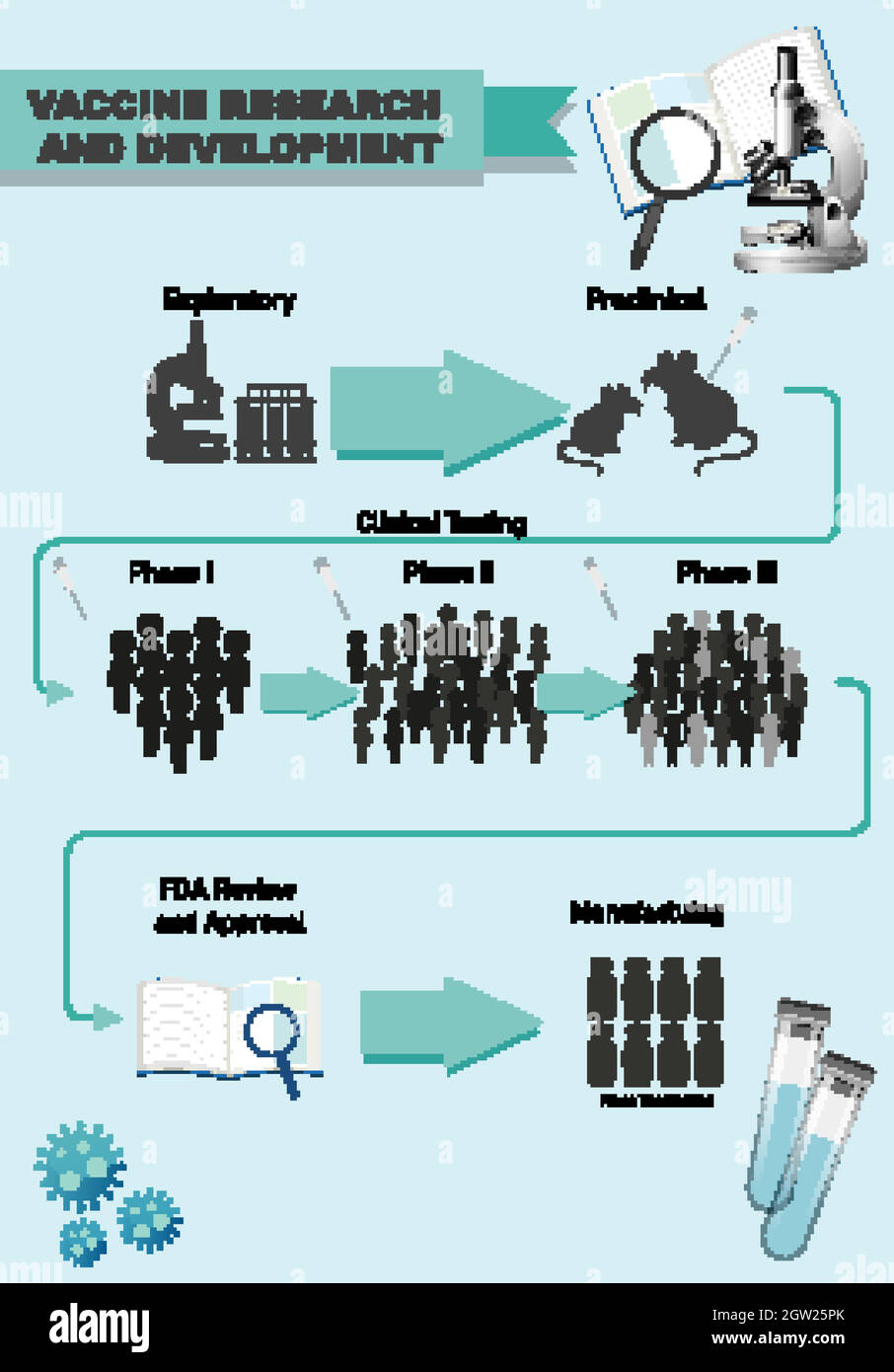 Infografica sulla ricerca e lo sviluppo dei vaccini Illustrazione Vettoriale