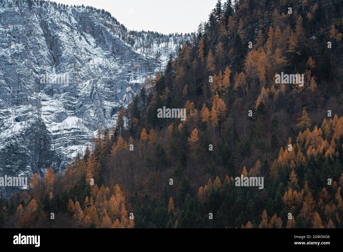 Contrasto di montagne con vegetazione autunnale e con la neve - Hallstatt, Austria Foto Stock