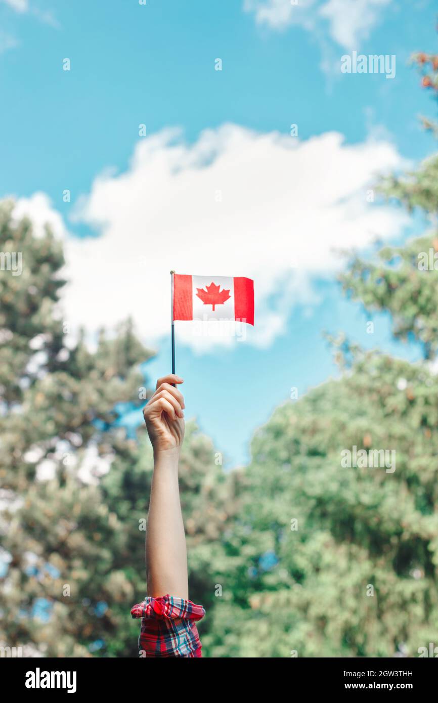 Primo piano del braccio umano della mano della donna che sventolano la bandiera canadese contro il cielo blu. Giornata del Canada all'aperto. Foto Stock