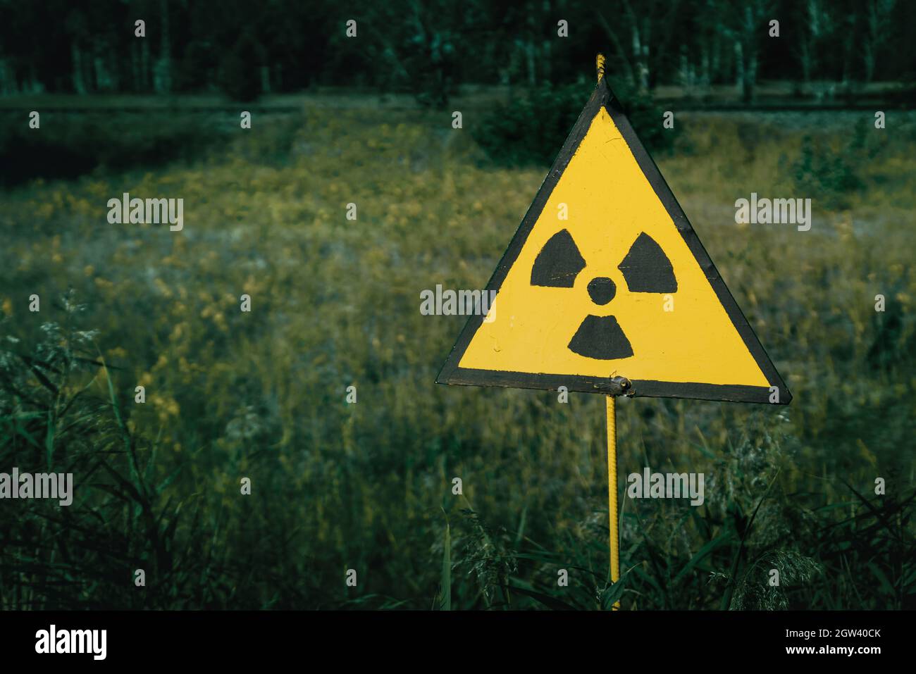 Pericolo di radiazioni Sign in the Red Forest - Chernobyl Exclusion zone, Ucraina Foto Stock