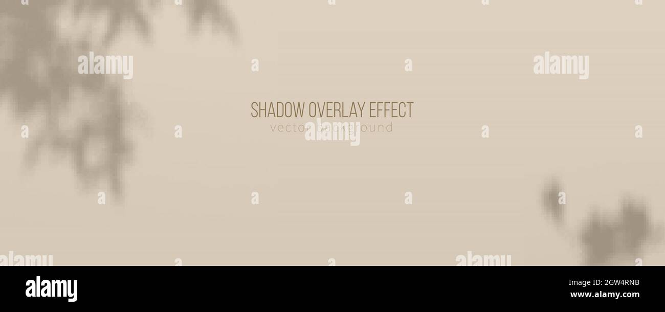 Sfondo beige per la visualizzazione del prodotto. Ombra di piante sullo sfondo. Illustrazione vettoriale. Illustrazione Vettoriale