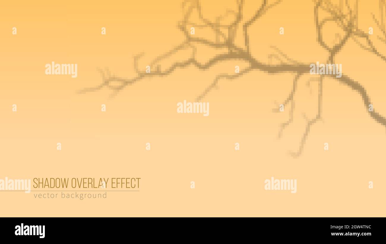 Ombra di rami di albero su sfondo arancione. Background vettoriale per marcare a caldo o la presentazione dei prodotti. Illustrazione Vettoriale