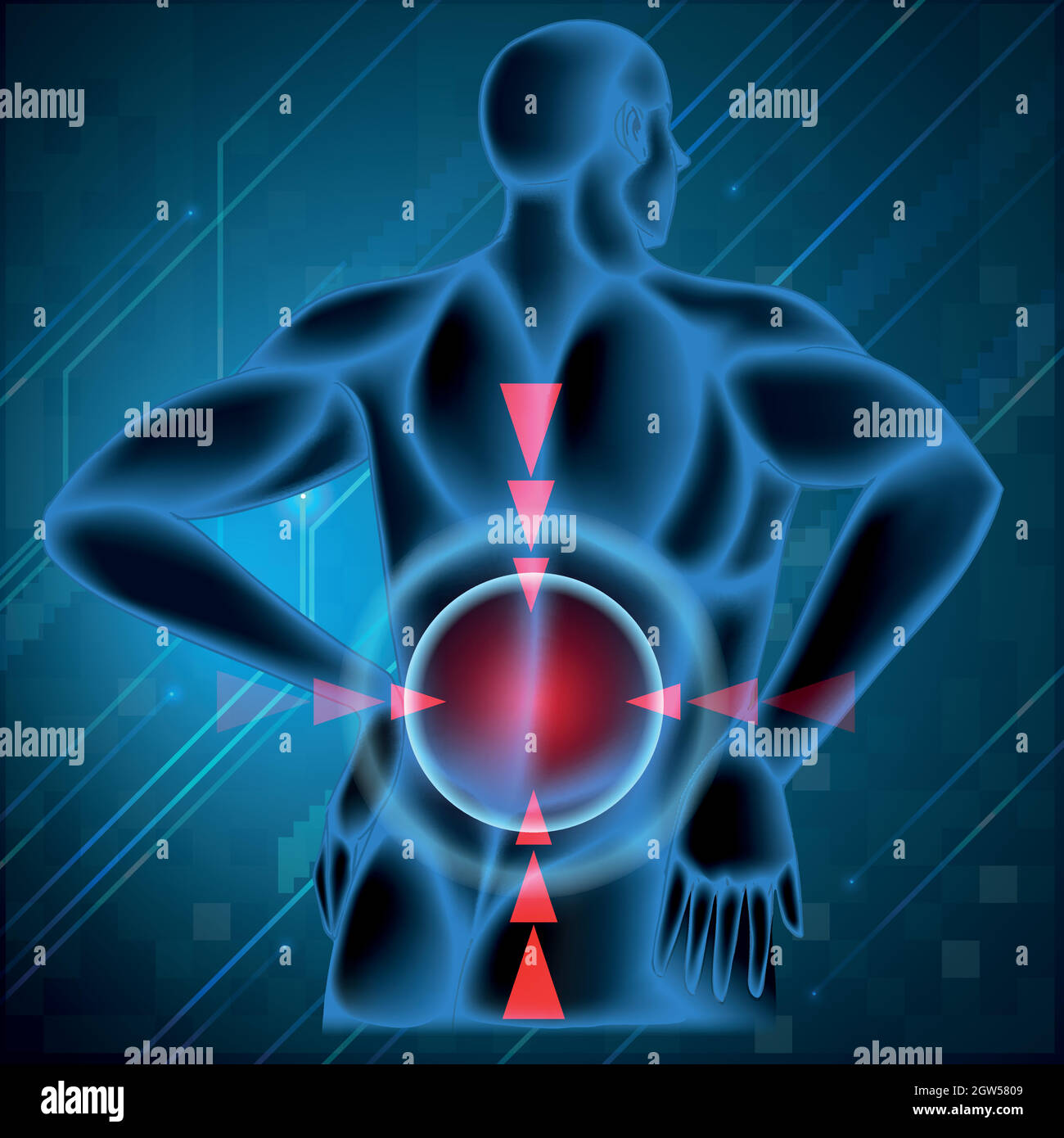 Colonna vertebrale umana che mostra dolore alla schiena Illustrazione Vettoriale