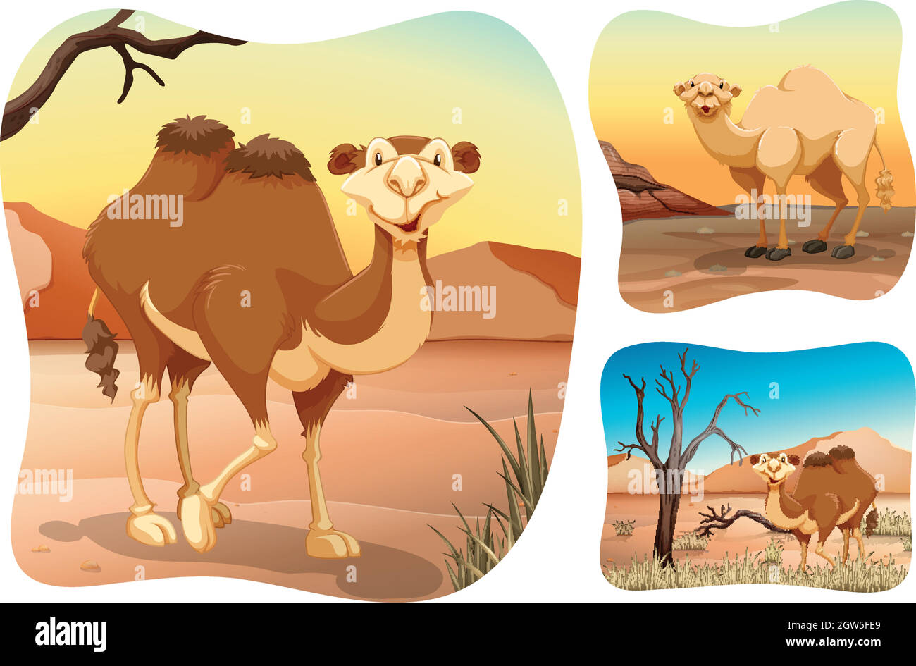 Cammelli nel deserto asciutto Illustrazione Vettoriale