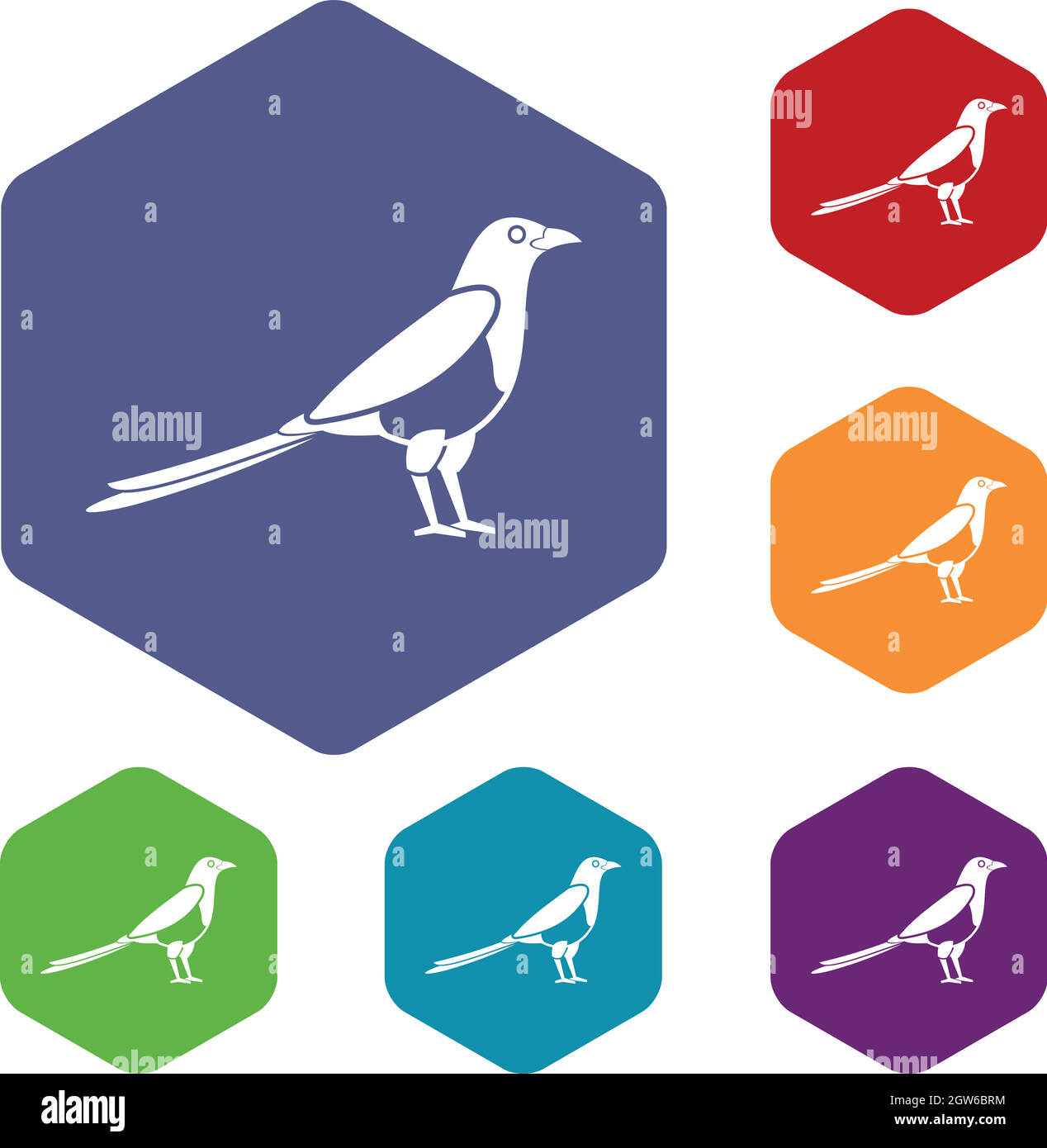 Bird gazza set di icone Illustrazione Vettoriale