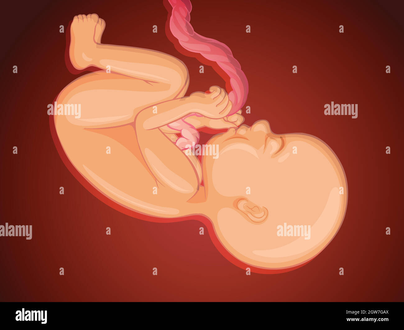Bambino all'interno dell'utero materno Illustrazione Vettoriale