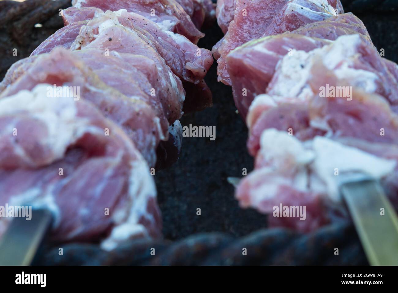 Primo piano di due spiedini con formaggio e carne sottaceto adagiati sul grill. Messa a fuoco selettiva. Il concetto di cottura nel cortile Foto Stock