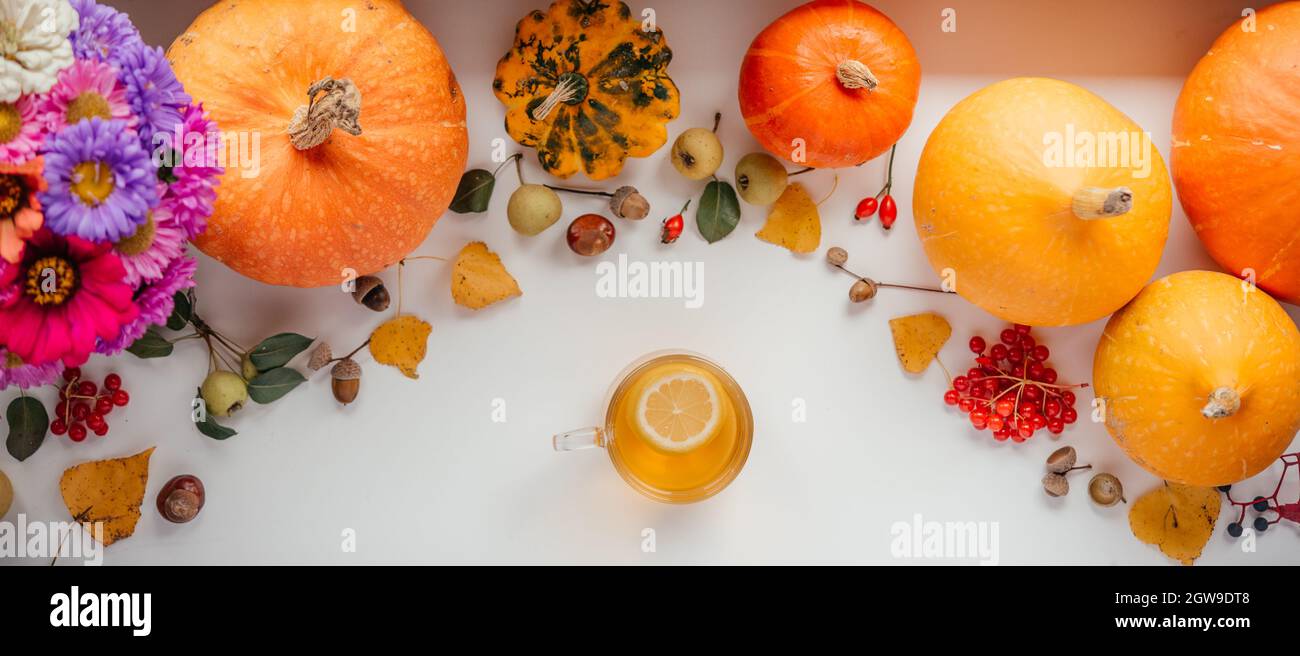 Una tazza di tè al limone, zucche e fiori autunnali layout creativo sul davanzale, Thanksgiving e Halloween sfondo Foto Stock