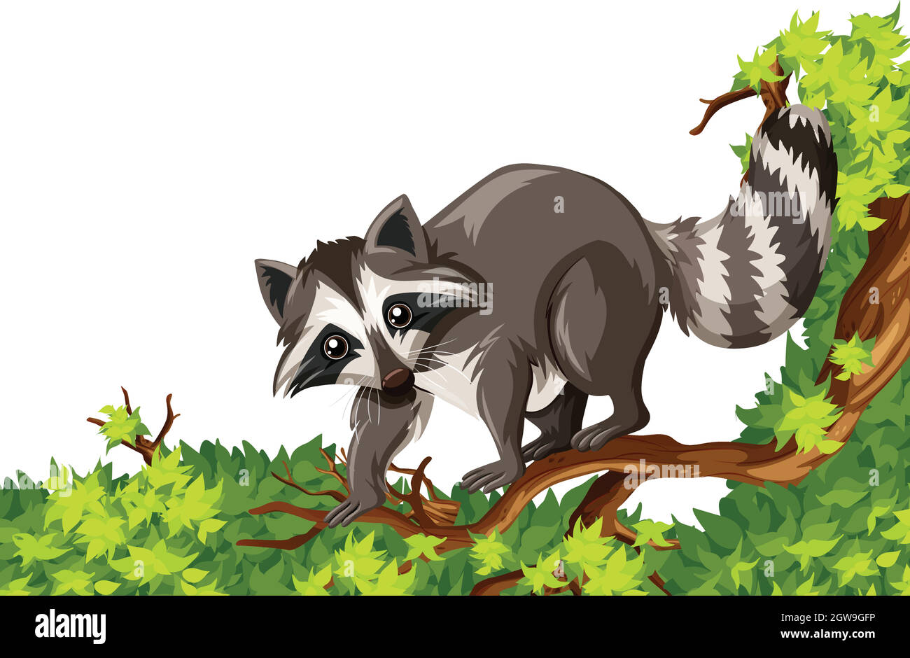Raccoon in piedi sull'albero Illustrazione Vettoriale