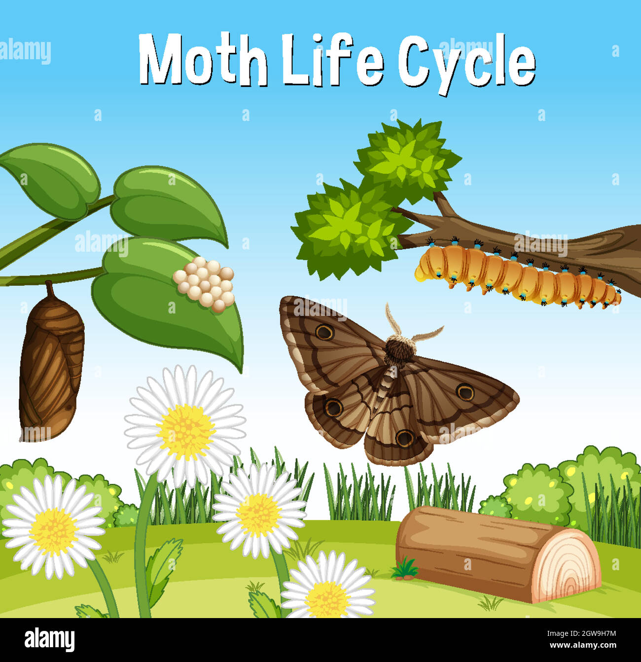Scena con Moth Life Cycle Illustrazione Vettoriale