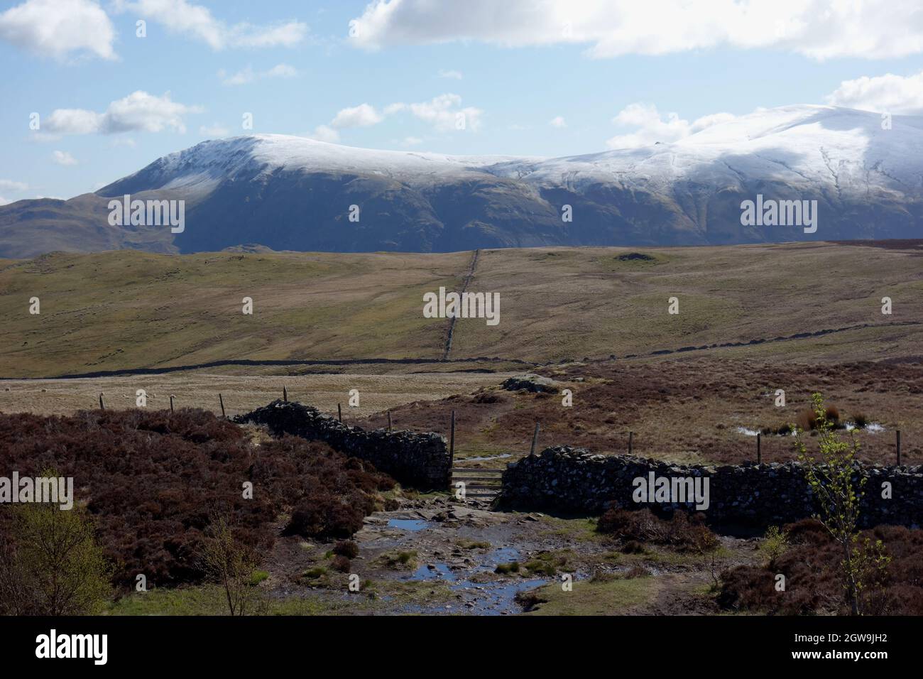 La neve coperta Wainwrights 'Clough Head' & 'Great Dodd' da vicino alla cima di 'Walla Crag' nel Lake District National Park, Cumbria, Inghilterra, Regno Unito Foto Stock