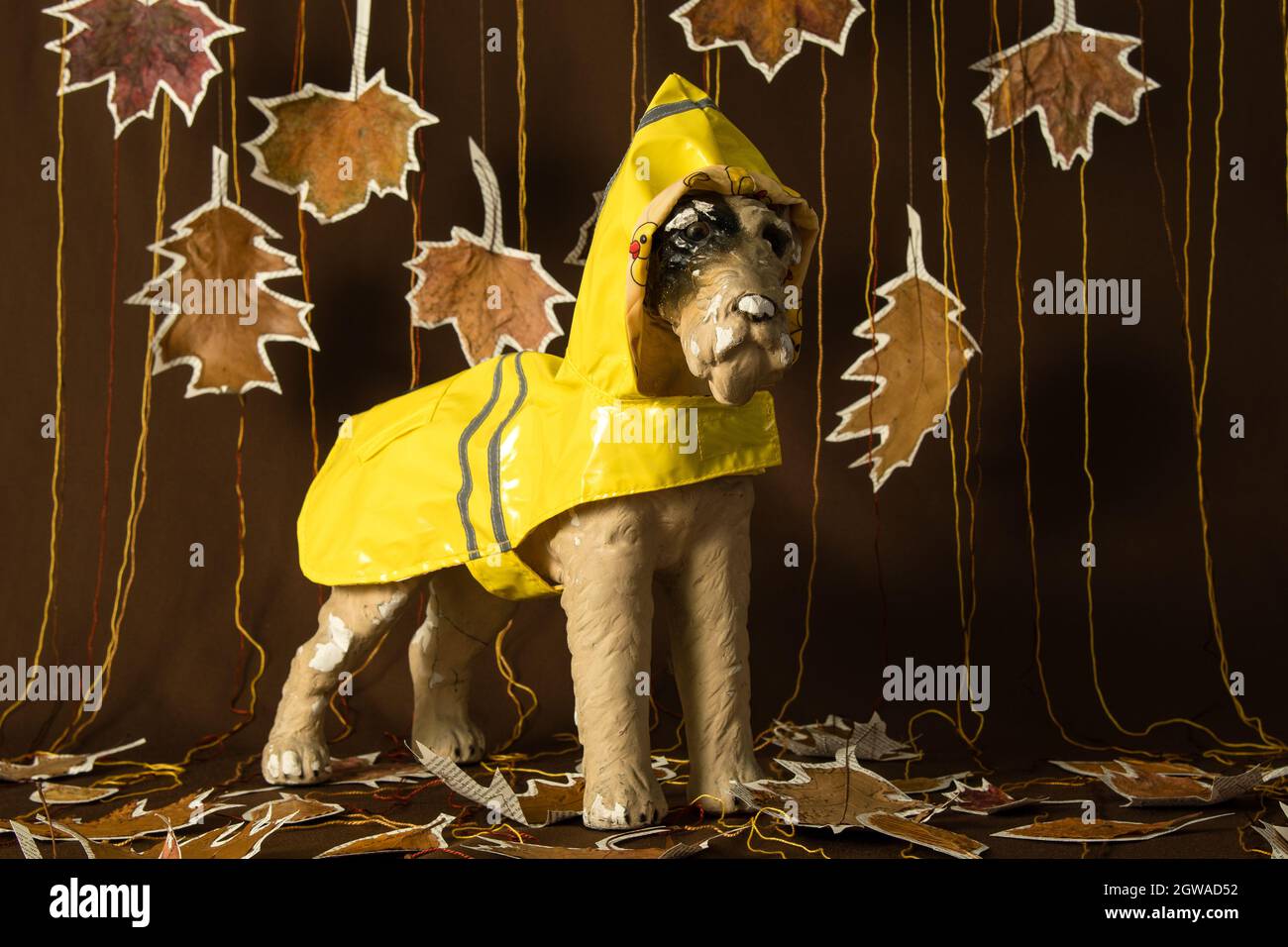 cane con cappotto giallo pioggia autunno Foto Stock