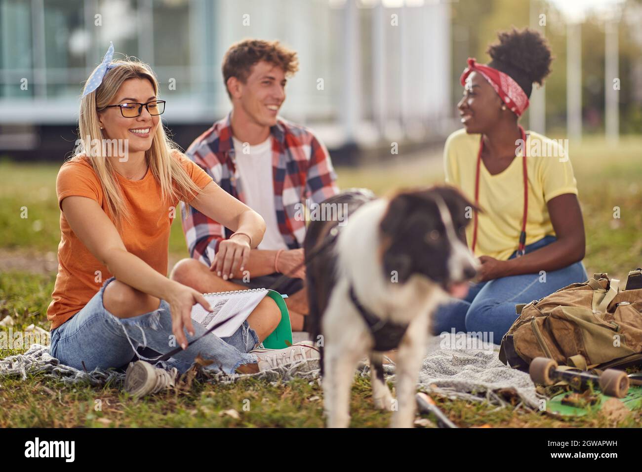 Gruppo di studenti che studiano all'aperto nel parco con il cane Foto Stock