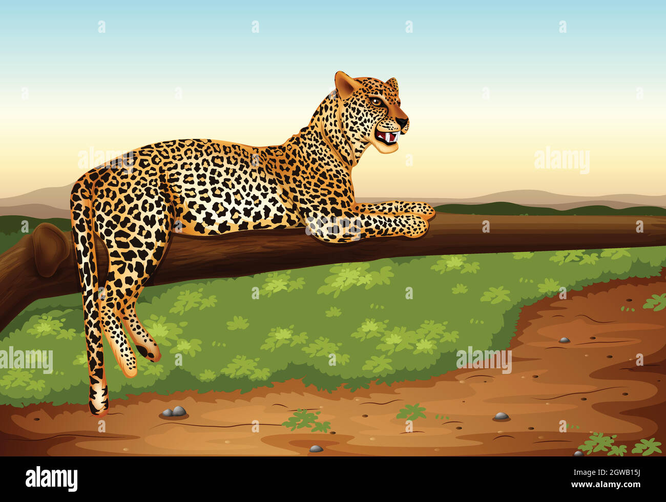 Leopardo Illustrazione Vettoriale