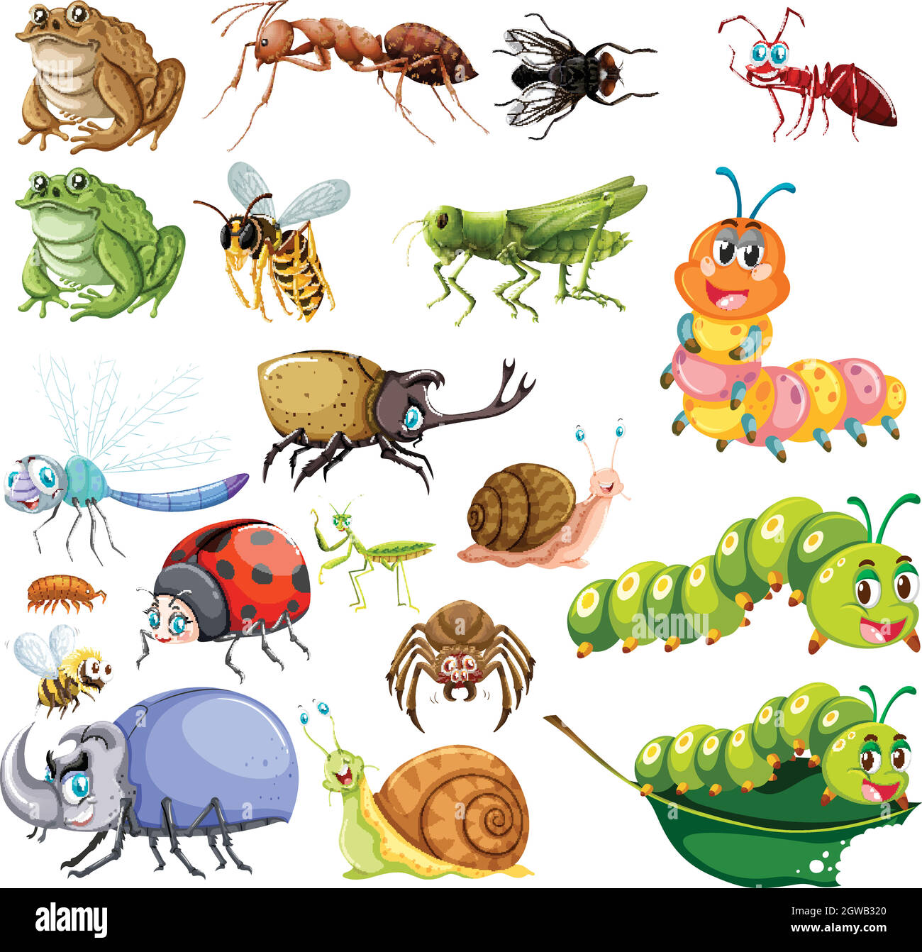 Diversi tipi di insetti Illustrazione Vettoriale
