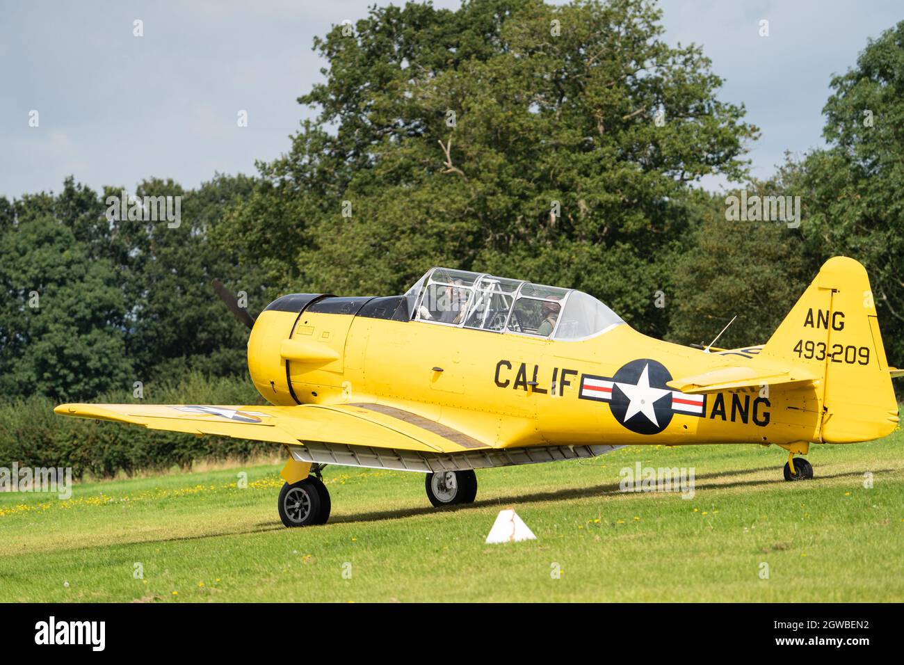 Velivoli militari gialli d'epoca su campo d'aviazione in erba con alberi sullo sfondo Foto Stock