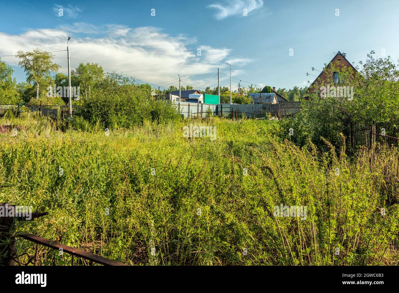 Paesaggio rurale, prato verde in una giornata estiva. La foto è stata scattata a Chelyabinsk, Russia. Foto Stock