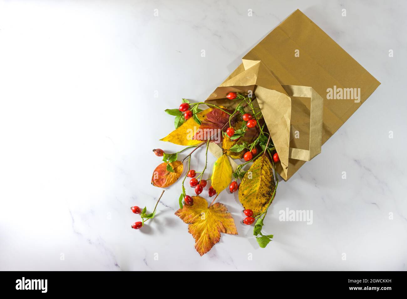 L'autunno sta arrivando, foglie colorate e fianchi di rose in una borsa di carta per lo shopping su sfondo di marmo grigio chiaro, concetto stagionale per la vendita sostenibile e l Foto Stock