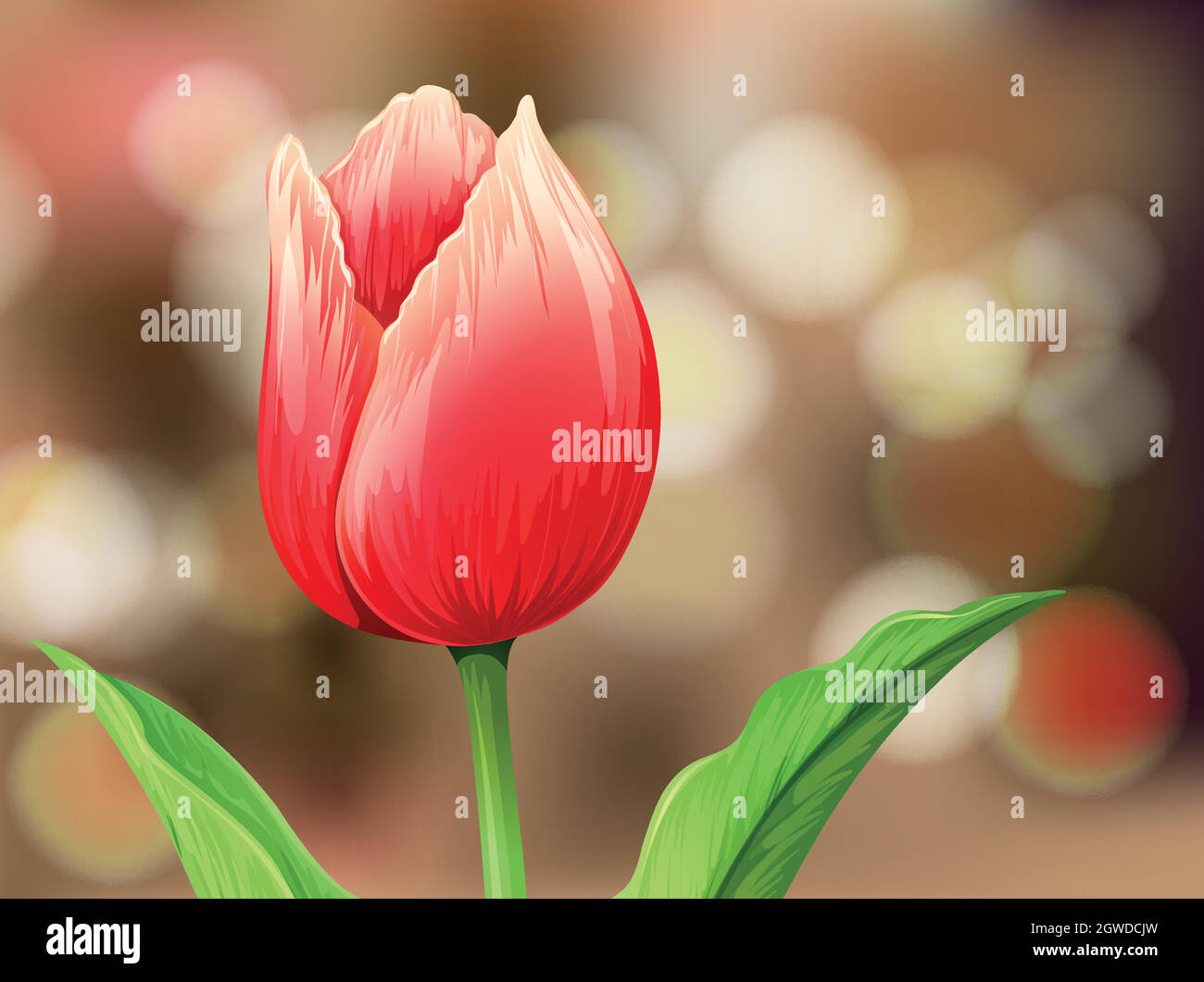Tulipano fiore su sfondo sfocato Illustrazione Vettoriale
