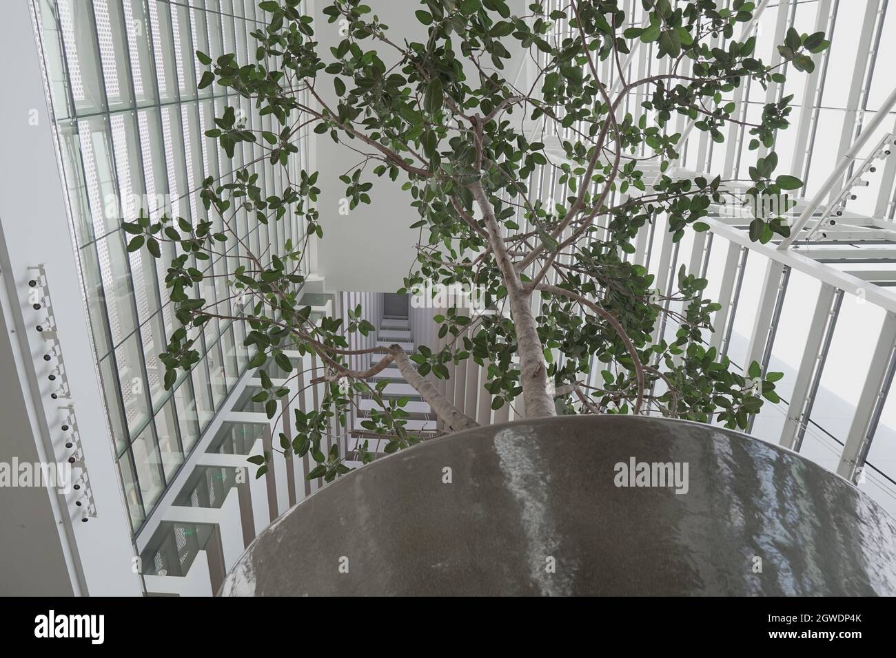 Marina BaySands hotel a Singapore Foto Stock