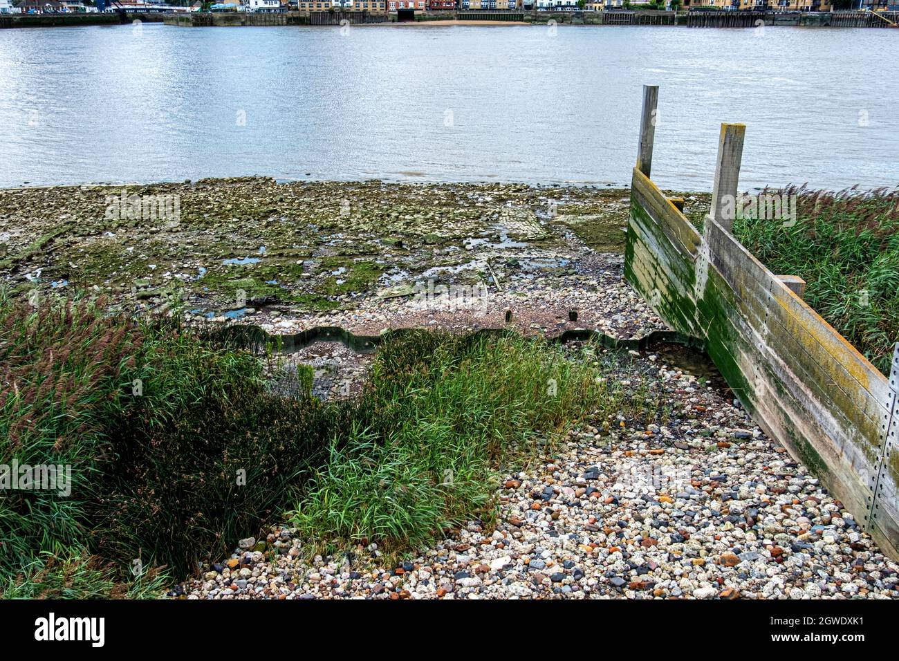 Thames Flood Defense. Il design a terrazze imita la riva naturale del fiume e fornisce habitat per uccelli, animali e piante. Greenwich Peninsula, Londra, Regno Unito Foto Stock