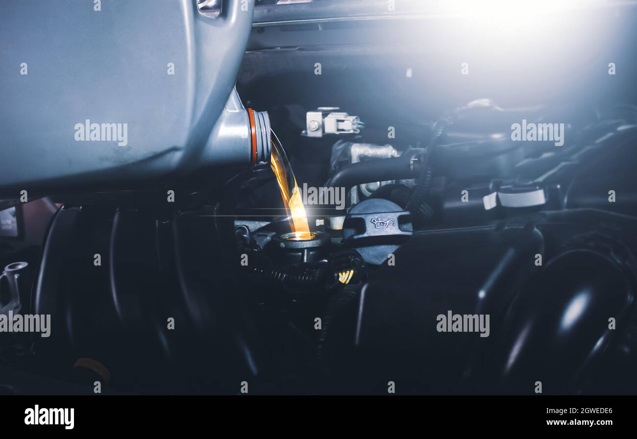 Meccanico che versa olio lubrificante nel motore dell'automobile per la manutenzione del veicolo, concetto di servizio di manutenzione dell'automobile. Foto Stock