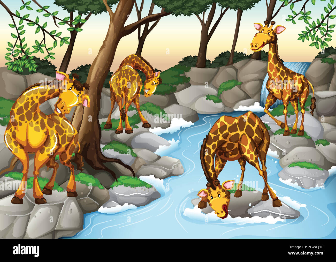 Quattro giraffe acqua potabile dal fiume Illustrazione Vettoriale