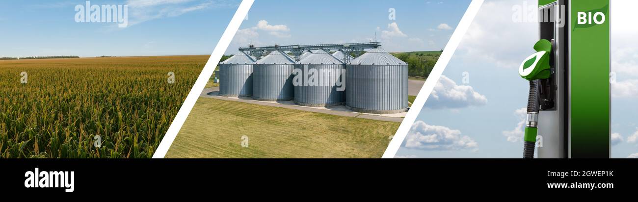 Collage di tre parti: Campo di mais, silos agricoli, stazione di riempimento biocarburante. Concetto di produzione di carburante a zero emissioni di carbonio Foto Stock