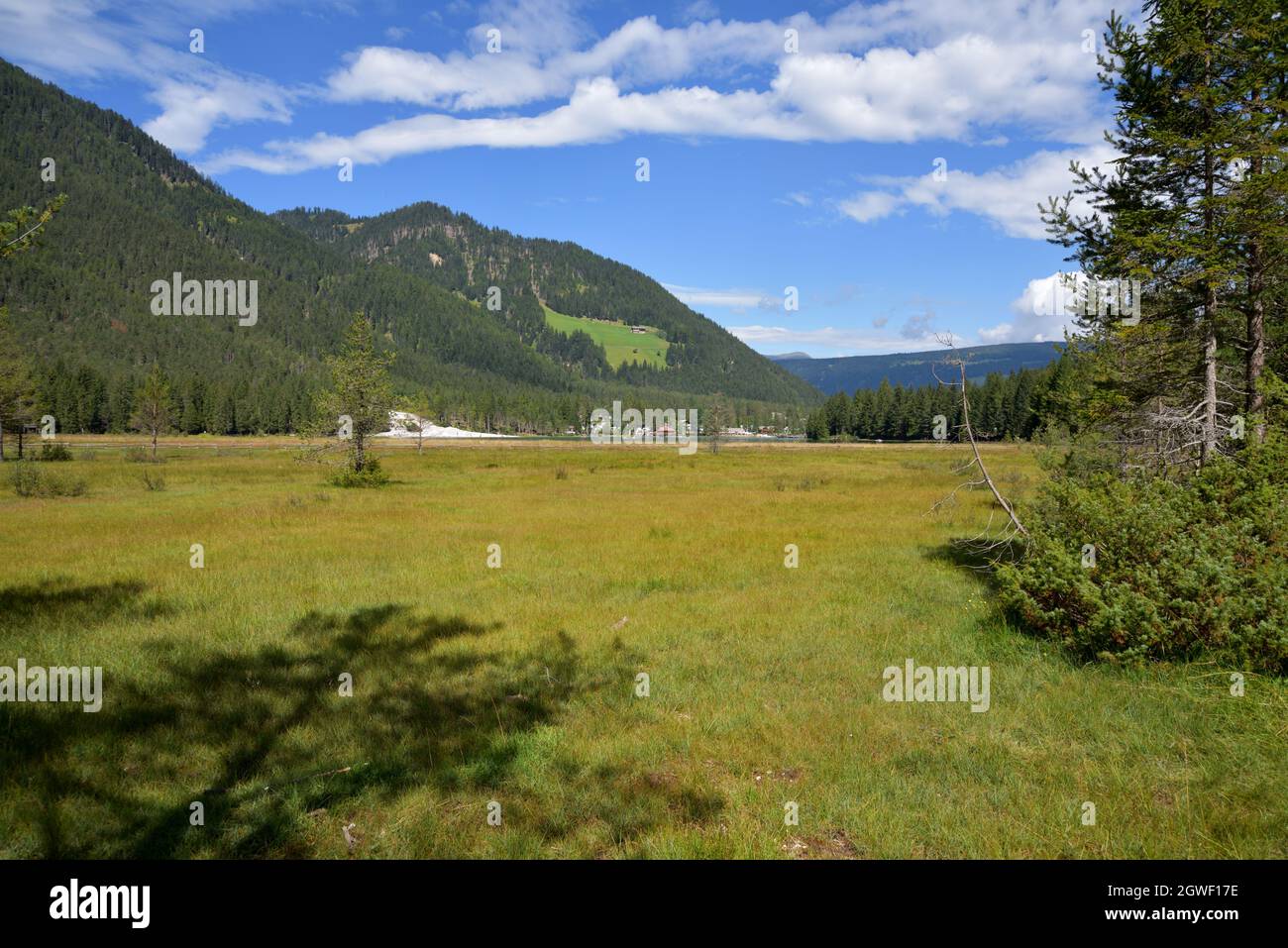 La valle del Lago Dobbiaco dove il prato maschera la zona paludosa Foto Stock