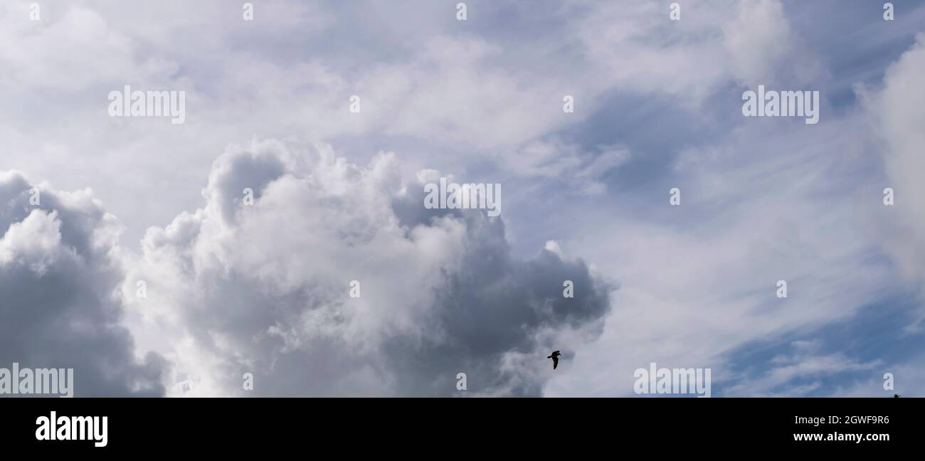 nuvole, cambiamenti climatici, nuvole vorticose, accumuli nel cielo, nuvole di pioggia Foto Stock