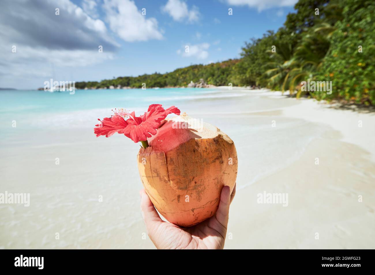 Tenere a mano una bevanda fresca di cocco contro idilliaca spiaggia di sabbia bianca e mare turchese. Anse Lazio, Seychelles. Foto Stock