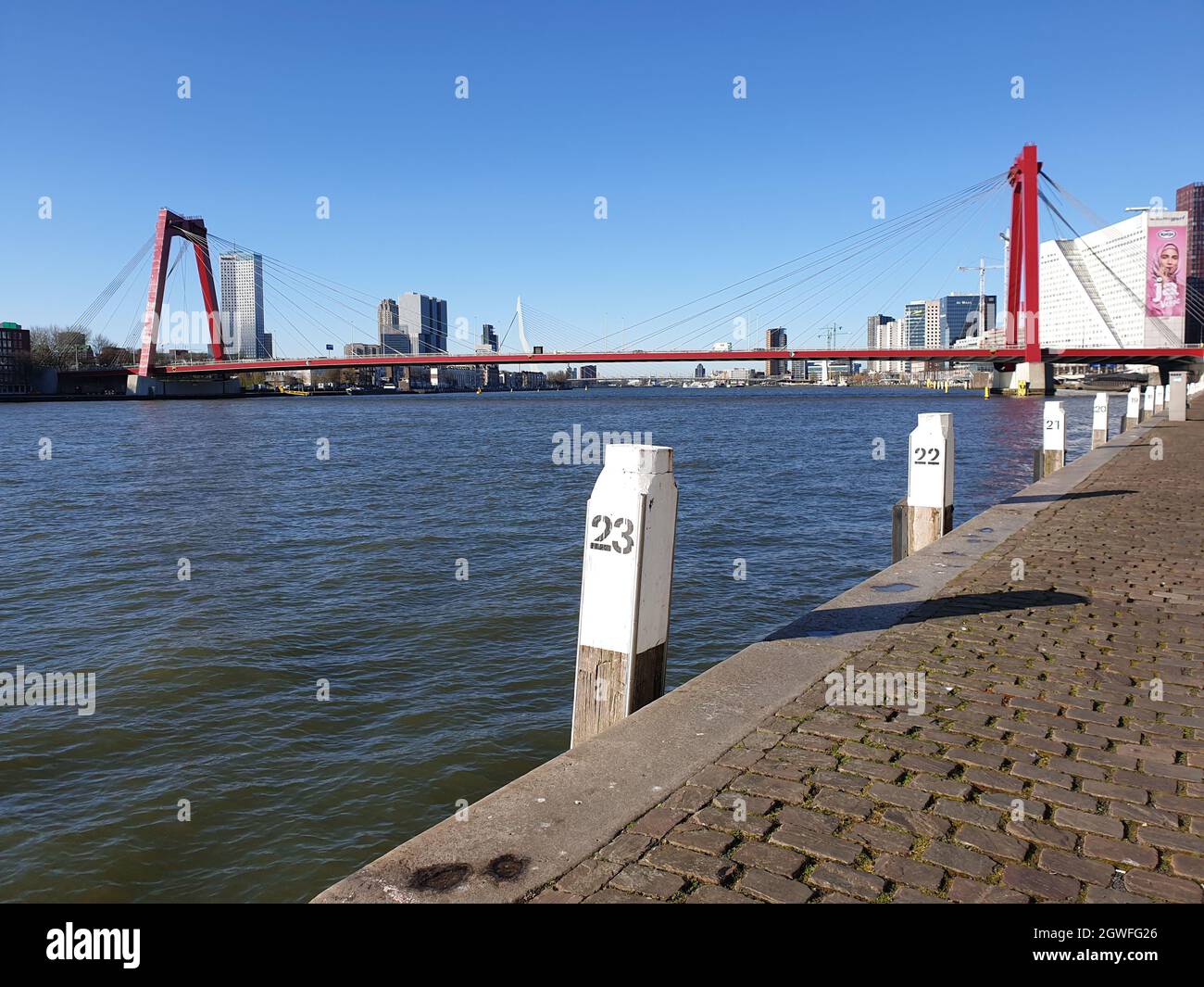 Willemsbrug a Rotterdam con skyline contro il cielo blu Foto Stock